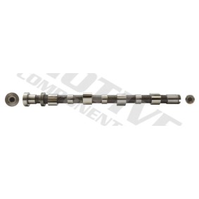 Nockenwelle T2098