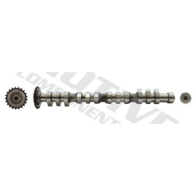 Acquista Albero a camme da motive T2172 a buon mercato per soli 160,30 €