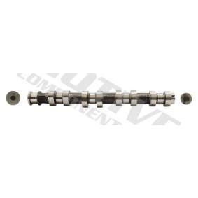 Nockenwelle T2909