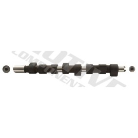 Nockenwelle T8054