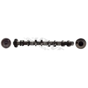 Nockenwelle T8199