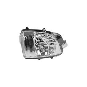 Blinker 5938916