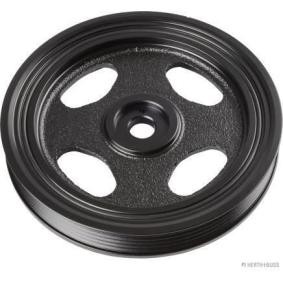 Achetez des Poulie damper (vilebrequin) HERTH+BUSS JAKOPARTS J1095018 à prix pour 103,51 €