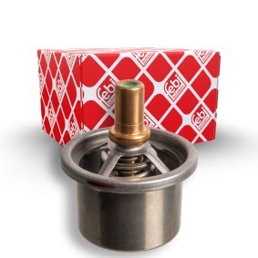 Kühlwasserthermostat 171162 für DAF