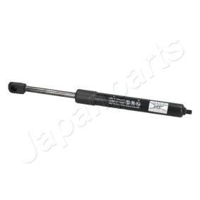 Heckklappendämpfer ZS05031
