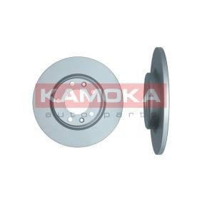 Bremsscheibe 103537