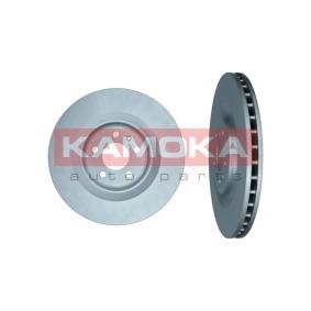 Bremsscheibe 103619