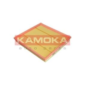 Luftfilter F243501