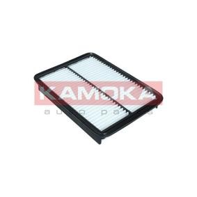 Luftfilter F245501