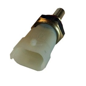 Acquista Sensore temperatura olio da EFI AUTOMOTIVE 295095 a buon mercato per soli 39,27 €
