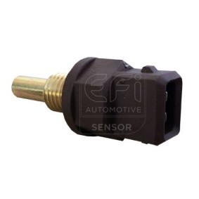 Comprar Sensor de temperatura de aceite de EFI AUTOMOTIVE 295124 a bajo precio de 55,61 €