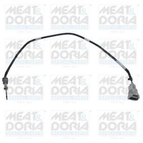 Abgastemperatursensor 12519
