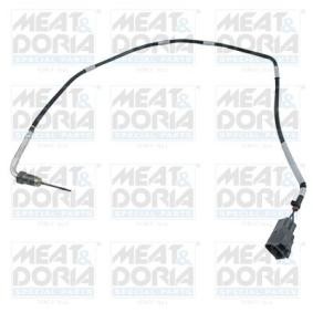 Abgastemperatursensor 12520