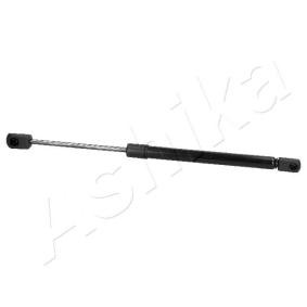 Heckklappendämpfer ZSA03040