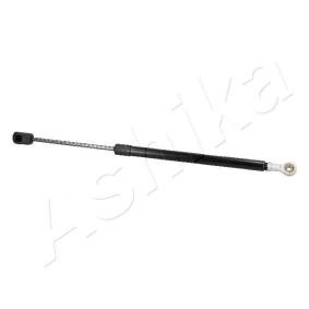 Heckklappendämpfer ZSA03077