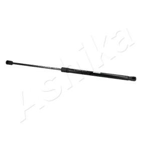 Heckklappendämpfer ZSA05004