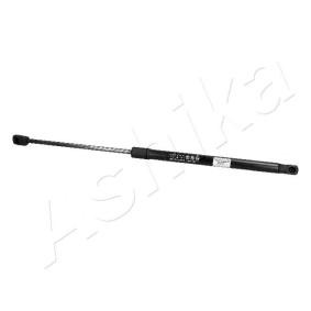 Heckklappendämpfer ZSA05016