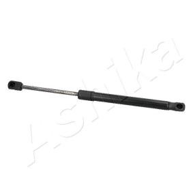 Heckklappendämpfer ZSA05021