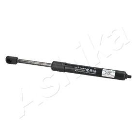 Heckklappendämpfer ZSA05031