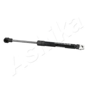 Heckklappendämpfer ZSA05051