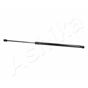 Heckklappendämpfer von ASHIKA ZSA06065