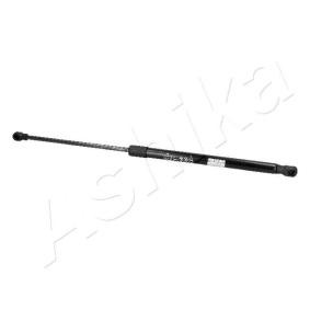 Heckklappendämpfer ZSA09181