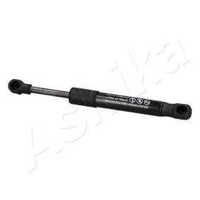 Heckklappendämpfer ZSA09217