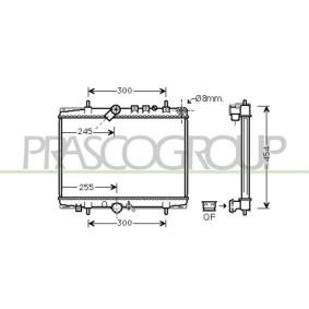 Achetez des Radiateur du moteur PRASCO CI520R003 à prix pour 131,70 €