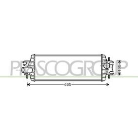 Kjøp Intercooler av PRASCO DS950N002 til den lave prisen 2306,93 NOK