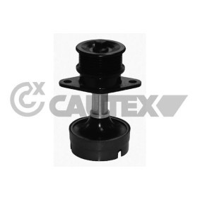 Comprar Polea inversión / guía, correa poli V de CAUTEX 081161 a bajo precio de 196,36 €