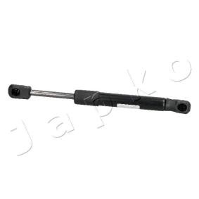 Heckklappendämpfer ZSJ05038