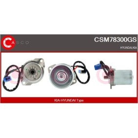 Lenkstockschalter CCS70309GS