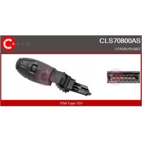 Bedienschalter, Geschwindigkeitsregelanlage CLS70800AS