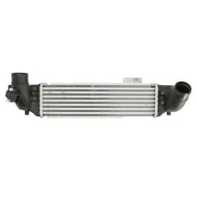 Köp Intercooler av THERMOTEC DA03002TT till det låga priset 1866,43 kr