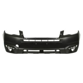 Achetez des Pare-choc BLIC 5510-00-6738901P à prix pour 148,59 €