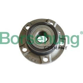 Radlagersatz von Borsehung B19284