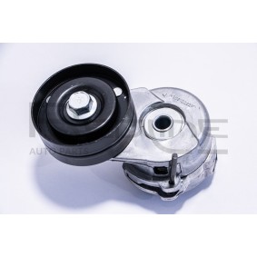 Comprar Brazo tensor, correa poli V de RED-LINE 13CH005 a bajo precio de 167,05 €