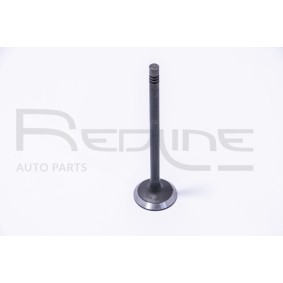 Comprar Válvula de admisión de RED-LINE 15NI038 a bajo precio de 12,27 €