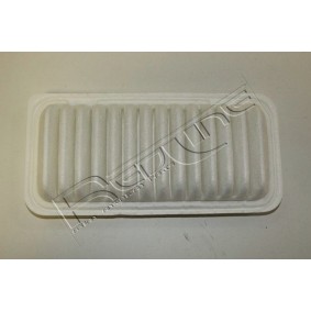 Luftfilter 36GW007