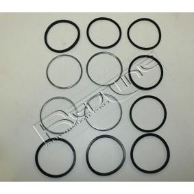 Acquista Kit di revisione della pinza freno da RED-LINE 53RV000 a buon mercato per soli 28,45 €