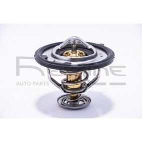 Thermostat des Herstellers RED-LINE - Originalware Artikelnummer: 55DR000