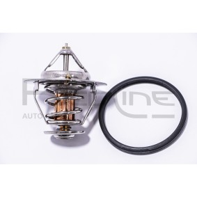 Kühlwasserthermostat 55GW000