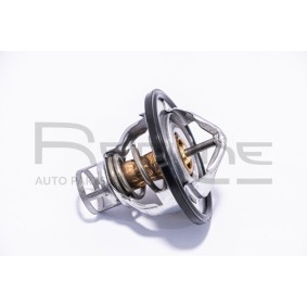 Achetez des Thermostat d'eau RED-LINE 55NI003 à prix pour 35,63 €