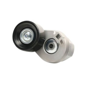 Comprar Tensor de correa poli V de GOOM BT-0006 a bajo precio de 78,86 €