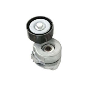Comprar Tensor de correa poli V de GOOM BT-0008 a bajo precio de 39,17 €