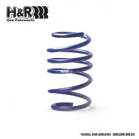 Compre Mola de suspensão da H&R 36904HA1 a um preço baixo por 111,14 €