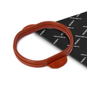 Ansaugkrümmerdichtung von RIDEX für Cayenne (92A) günstig online kaufen