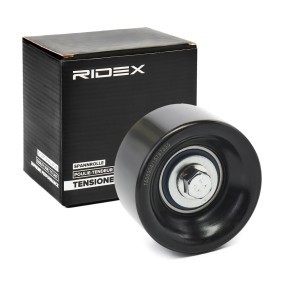 Acquista Galoppino / guidacinghia, cinghia poly-v da RIDEX online per TRANSIT Autobus (FD_ _, FB_ _, FS_ _, FZ_ _, FC_ _) a prezzi moderati