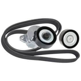 Achetez des Jeu de courroies trapézoïdales à nervures RIDEX 542R0552 à prix pour 64,60 €