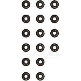 Comprar Juego de juntas, vástago de válvula de REINZ 12-17930-01 a bajo precio de 23,49 €